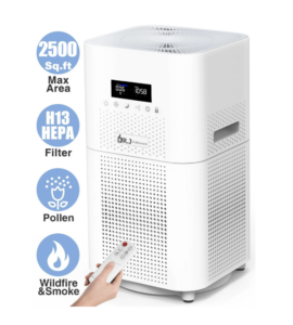DR. J Professional HEPA Air Purifier